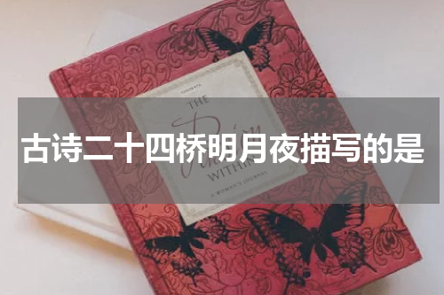 古诗二十四桥明月夜描写的是