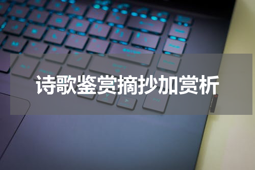 诗歌鉴赏摘抄加赏析