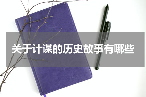 关于计谋的历史故事有哪些