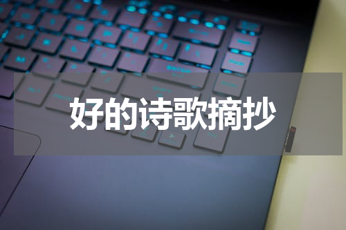 好的诗歌摘抄