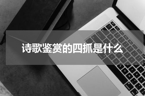 诗歌鉴赏的四抓是什么