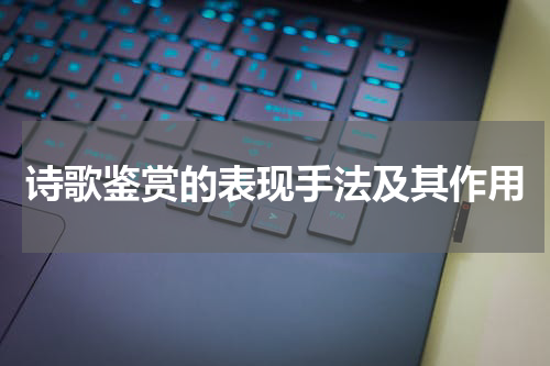 诗歌鉴赏的表现手法及其作用