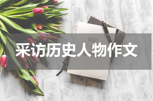 采访历史人物作文