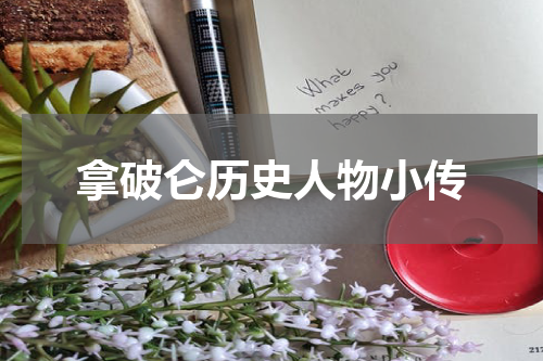 拿破仑历史人物小传