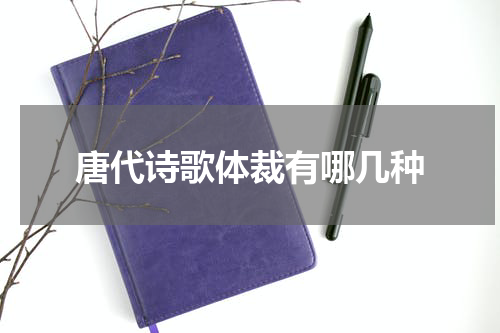 唐代诗歌体裁有哪几种