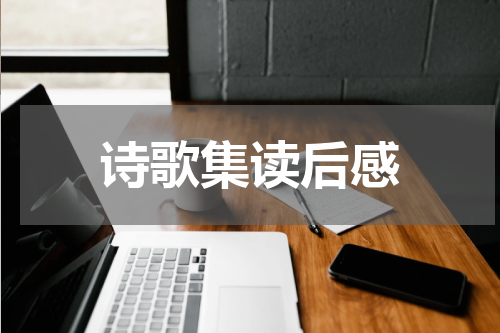 诗歌集读后感
