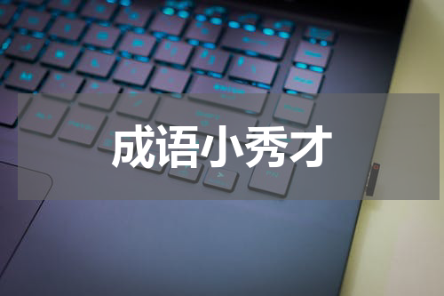 成语小秀才