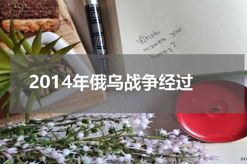 2014年俄乌战争经过