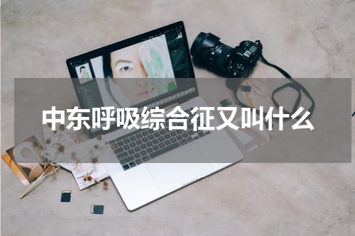 中东呼吸综合征又叫什么