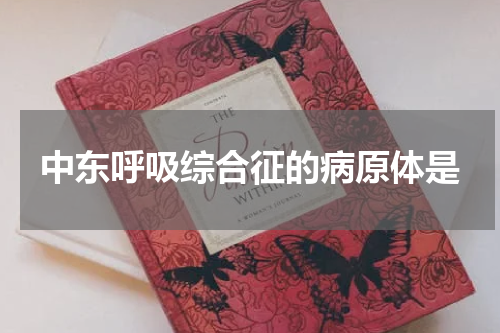 中东呼吸综合征的病原体是