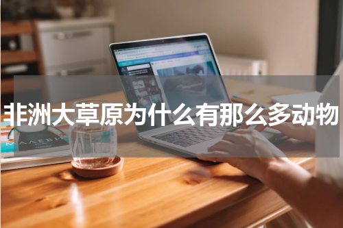 非洲大草原为什么有那么多动物
