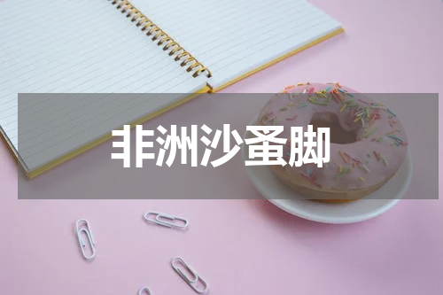 非洲沙蚤脚