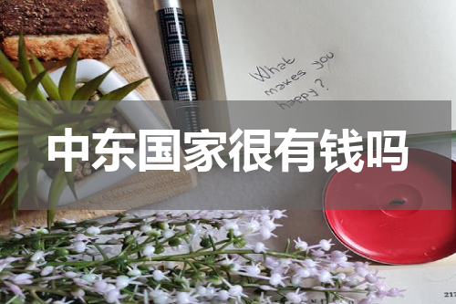 中东国家很有钱吗