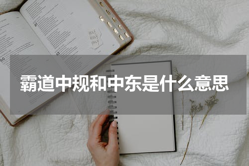 霸道中规和中东是什么意思