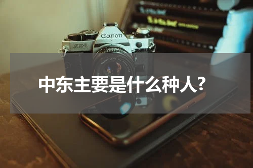中东主要是什么种人?
