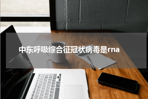中东呼吸综合征冠状病毒是rna