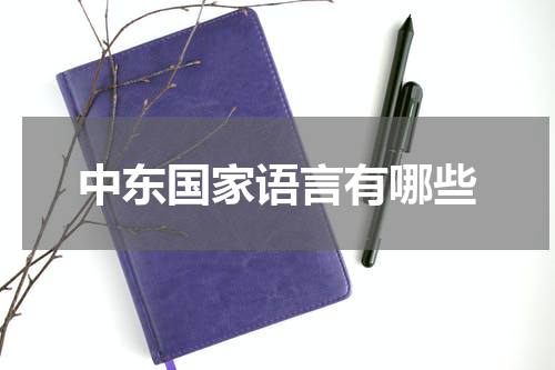 中东国家语言有哪些