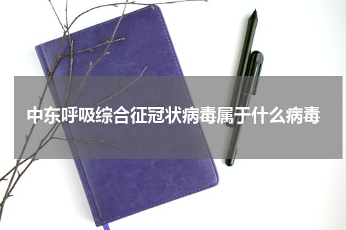 中东呼吸综合征冠状病毒属于什么病毒