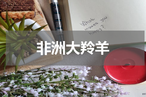 非洲大羚羊