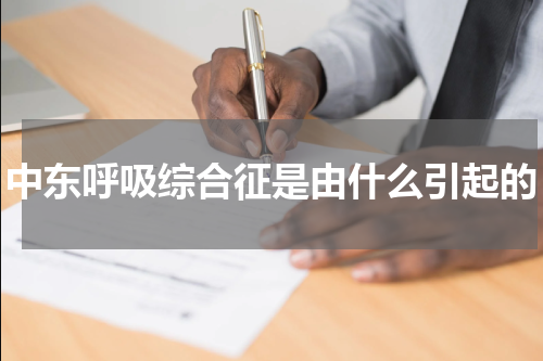 中东呼吸综合征是由什么引起的