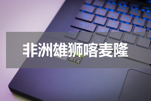 非洲雄狮喀麦隆