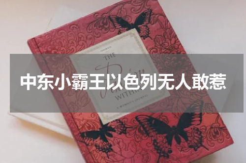 中东小霸王以色列无人敢惹
