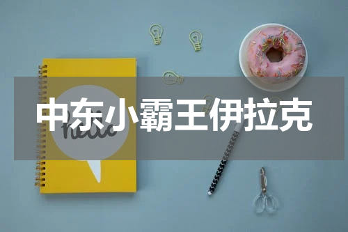 中东小霸王伊拉克