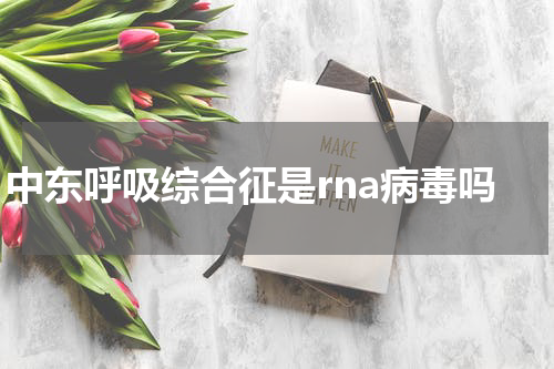 中东呼吸综合征是rna病毒吗