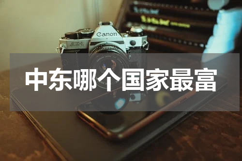 中东哪个国家最富