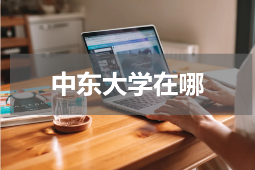 中东大学在哪