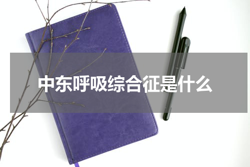 中东呼吸综合征是什么