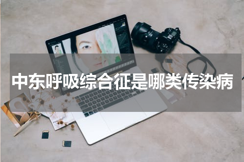中东呼吸综合征是哪类传染病