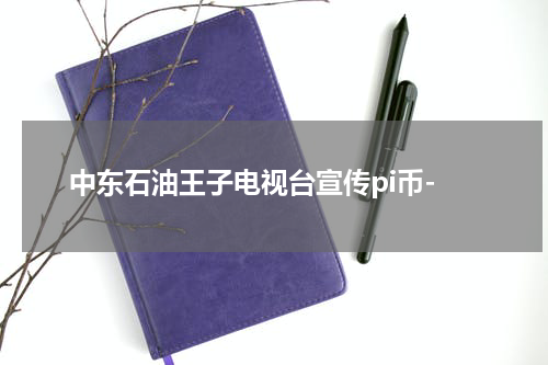 中东石油王子电视台宣传pi币-