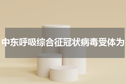 中东呼吸综合征冠状病毒受体为