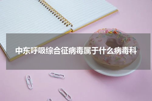 中东呼吸综合征病毒属于什么病毒科