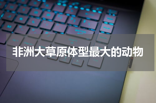 非洲大草原体型最大的动物