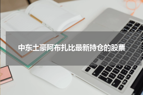 中东土豪阿布扎比最新持仓的股票