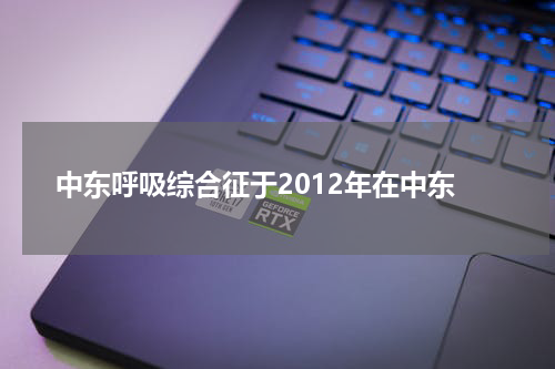 中东呼吸综合征于2012年在中东