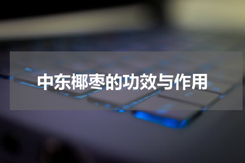 中东椰枣的功效与作用