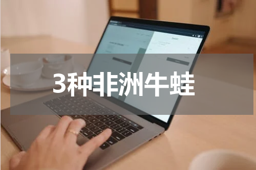 3种非洲牛蛙