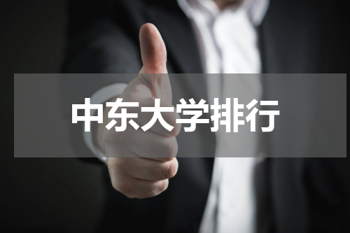 中东大学排行