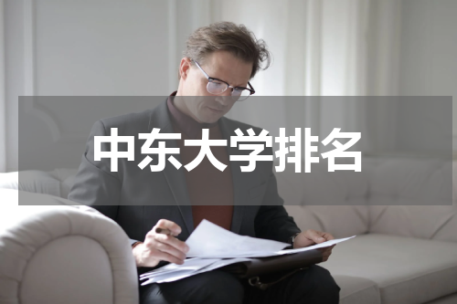 中东大学排名