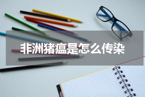 非洲猪瘟是怎么传染