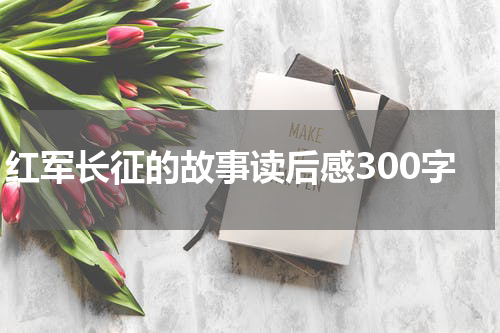 红军长征的故事读后感300字
