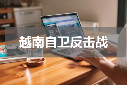 越南自卫反击战