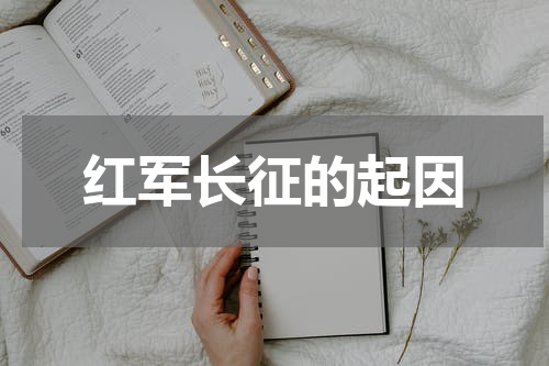红军长征的起因