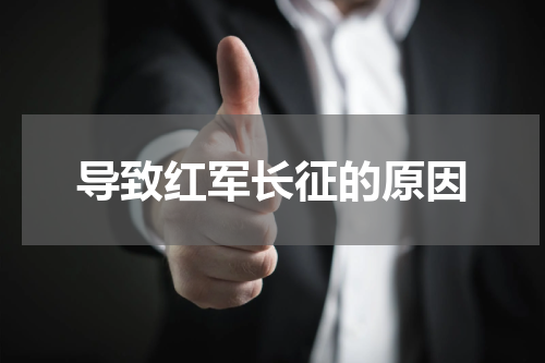 导致红军长征的原因