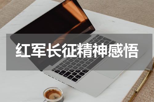 红军长征精神感悟