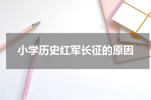 小学历史红军长征的原因