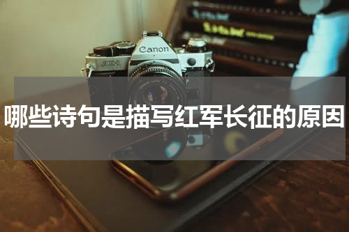 哪些诗句是描写红军长征的原因